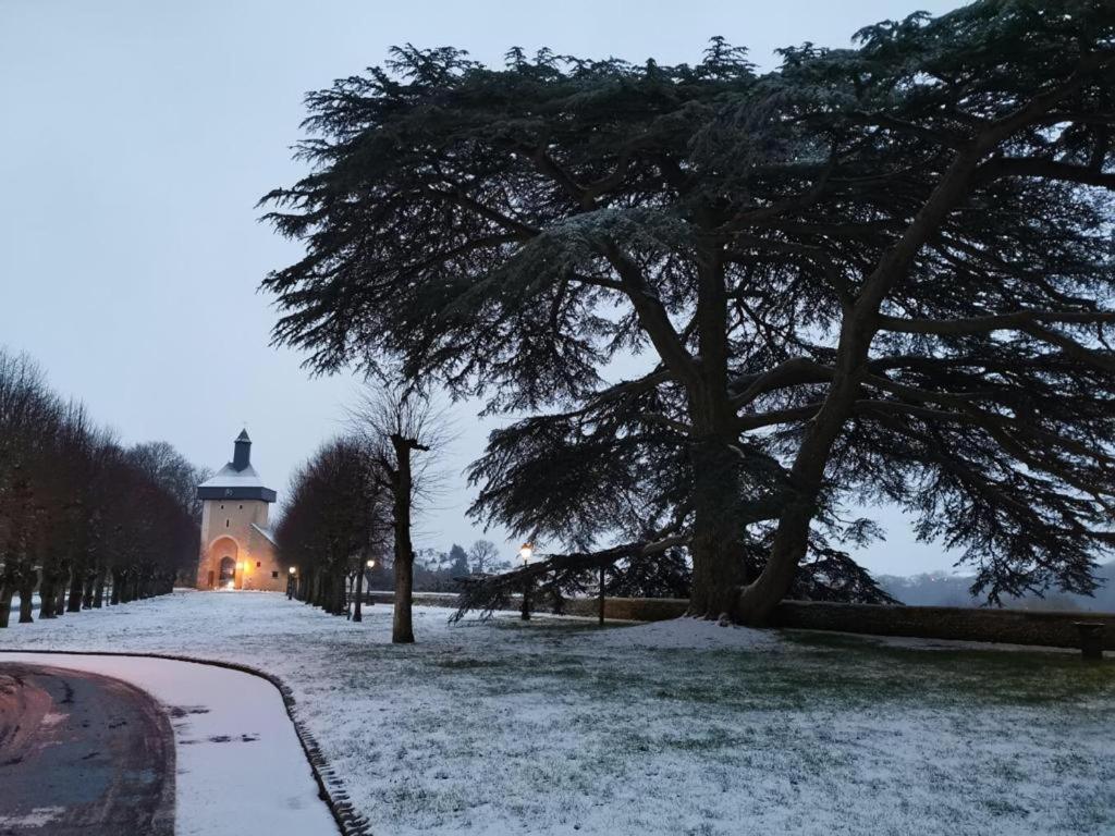Cosy T1 ! Proche Commerces Et Axes Routiers Chateau-Renault Luaran gambar